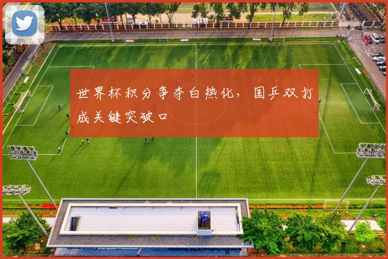 世界杯积分争夺白热化,国乒双打成关键突破口