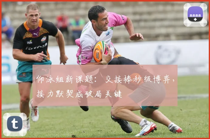 仰泳组新课题:交接棒秒级博弈,接力默契成破局关键