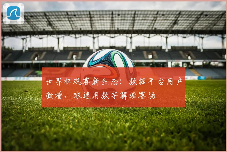 世界杯观赛新生态:数据平台用户激增,球迷用数字解读赛场
