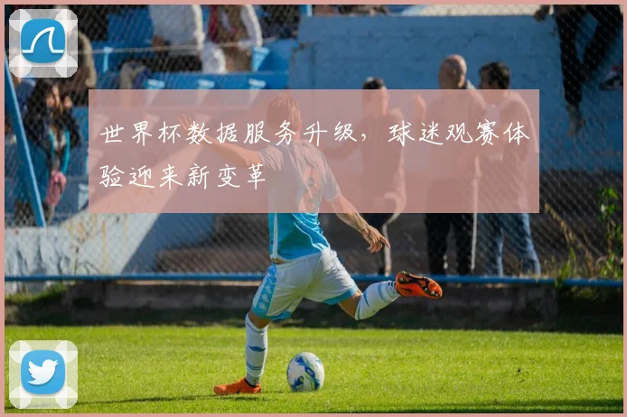 世界杯数据服务升级，球迷观赛体验迎来新变革