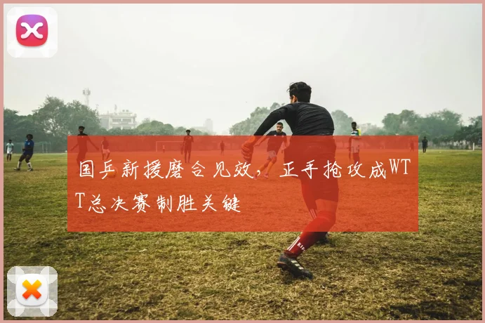 国乒新援磨合见效,正手抢攻成WTT总决赛制胜关键