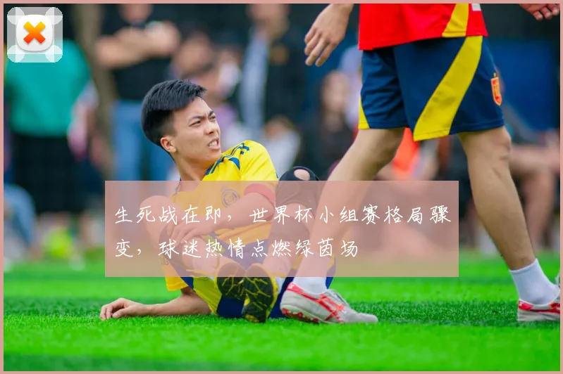 生死战在即,世界杯小组赛格局骤变,球迷热情点燃绿茵场